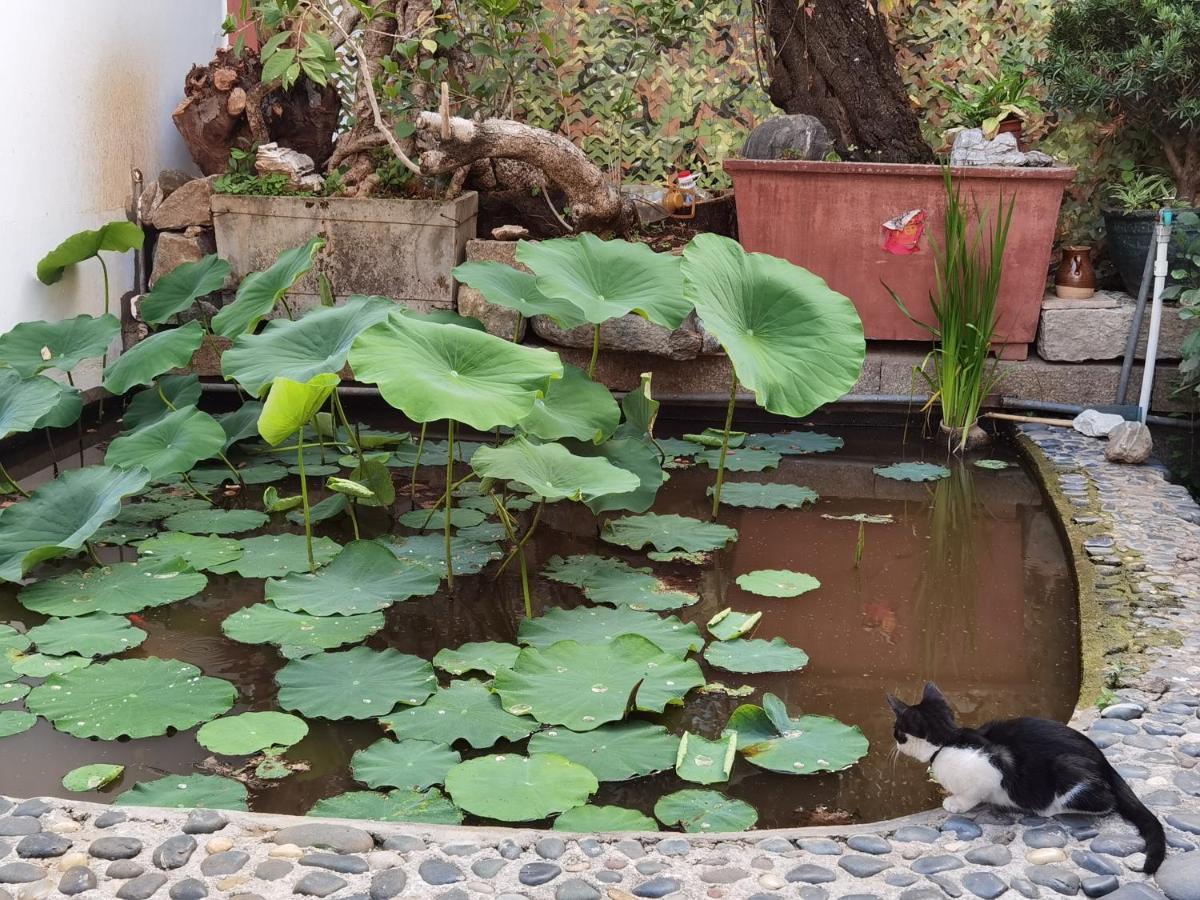 The Lily Pad Inn Дали Экстерьер фото